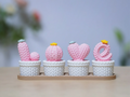 Afnan Gifts Love Knitted Cactus Décor Set (Threaded Design)