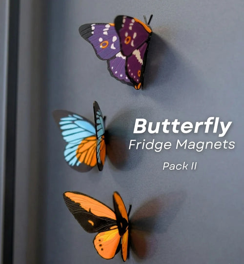 Afnan Gifts Butterfly Fridge Magnet
